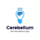 Cerebellum NEET PG/INICET 12 Months Plan